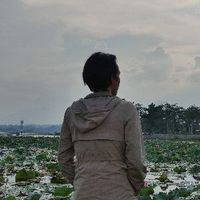 user_profile
