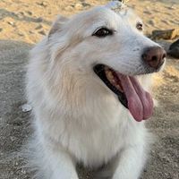 user_profile