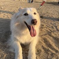 user_profile