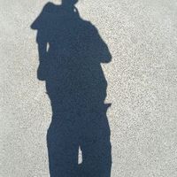 user_profile