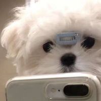 user_profile