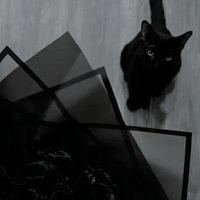 user_profile